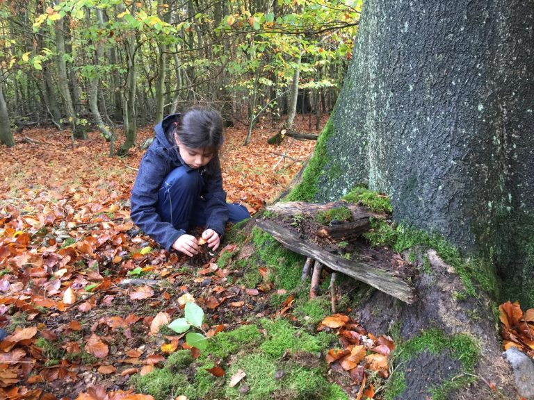 K1600 Zwergenhausbau 4 768x576