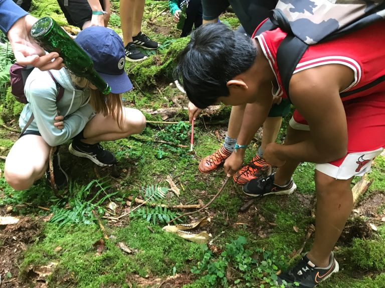 IMG 0901 min 768x576