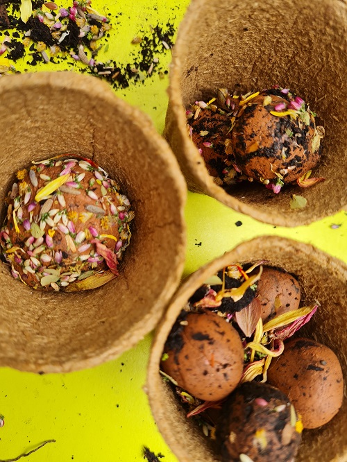 Blumenmurmeln grow happy Lisa Semmler