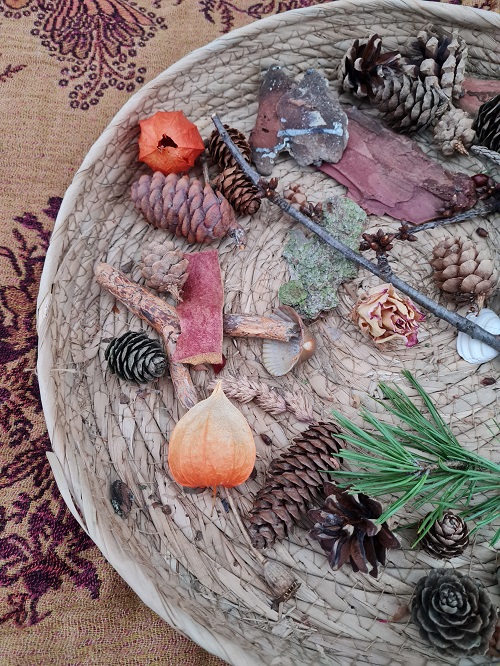 Naturcoaching4 grow happy Lisa Semmler