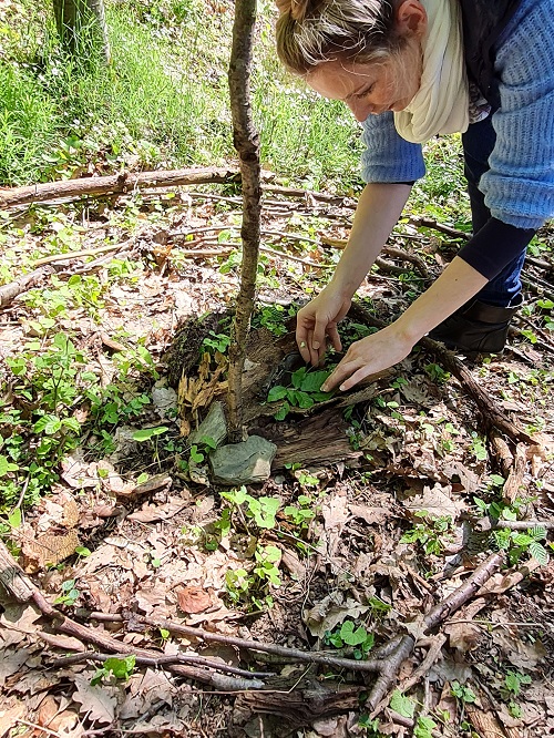 Naturcoaching5 grow happy Lisa Semmler