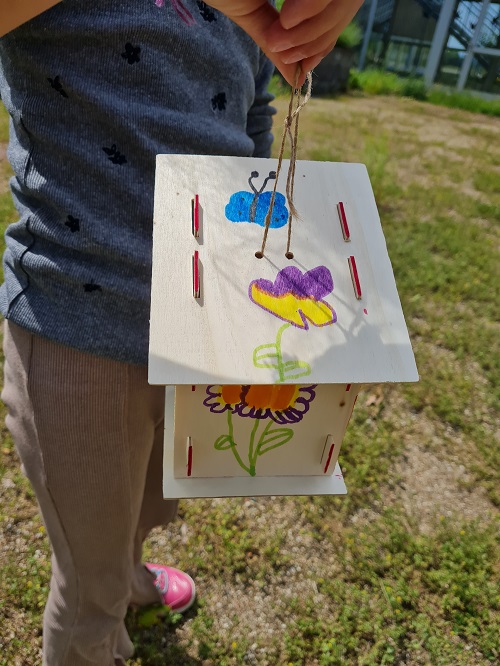 Naturforscher AG2 grow happy Lisa Semmler