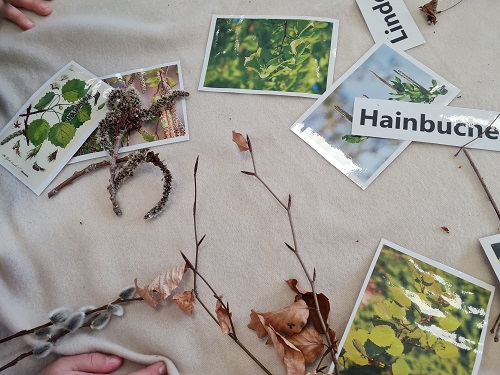 Naturforscher AG4 grow happy Lisa Semmler