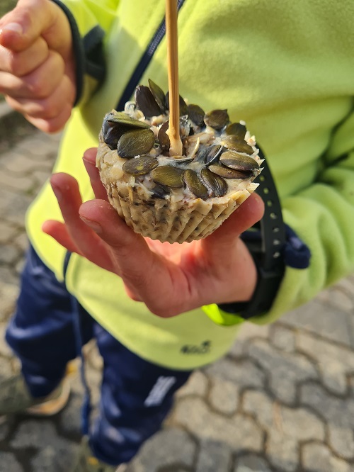 Naturforscher AG5 grow happy Lisa Semmler