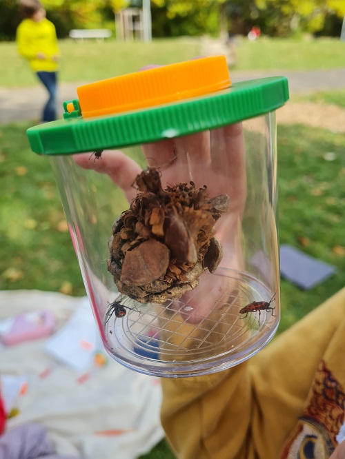 Naturforscher AG6 grow happy Lisa Semmler