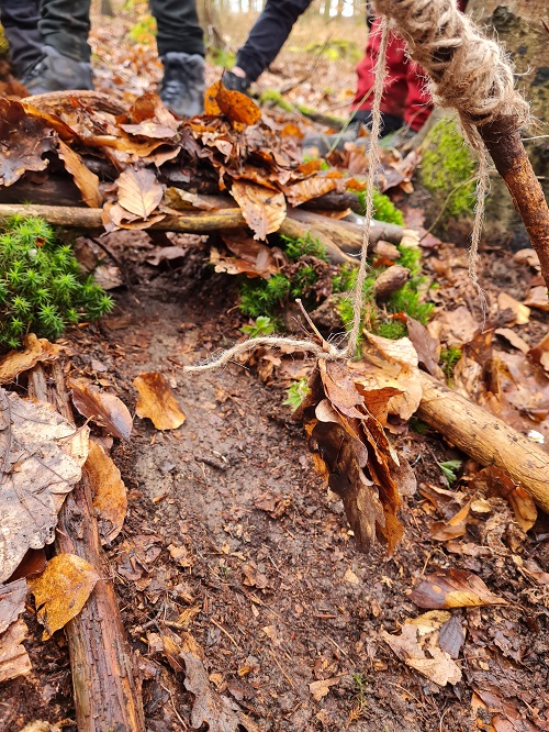 Projekttag im Wald2 grow happy Lisa Semmler