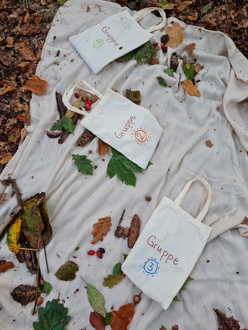 Projekttag im Wald5 grow happy Lisa Semmler