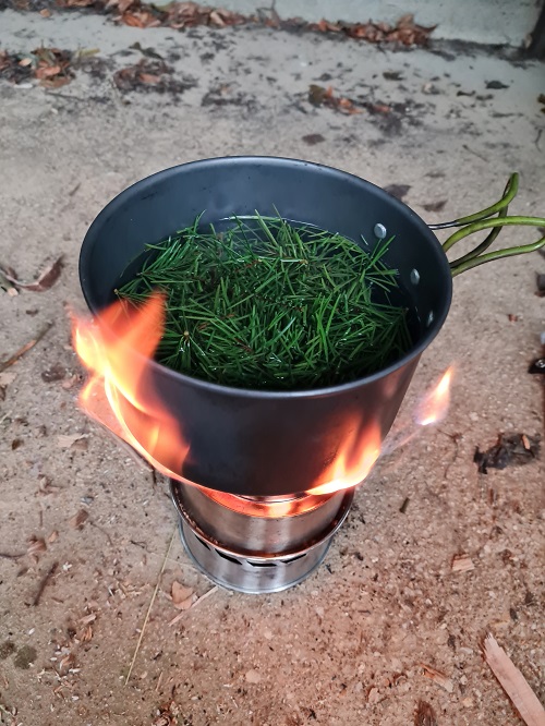 Projekttag im Wald7 grow happy Lisa Semmler