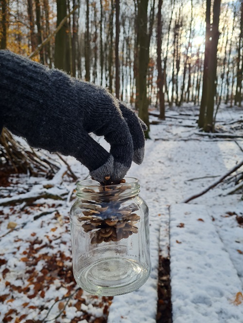 Projekttag im Wald 6 grow happy Lisa Semmler