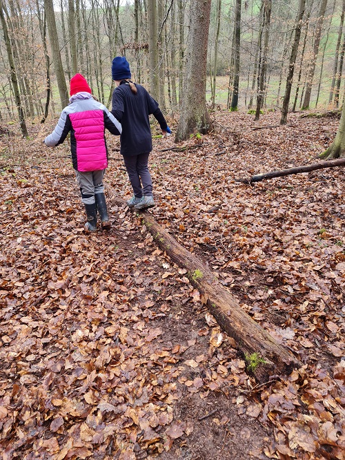 Projekttag im Wald grow happy Lisa Semmler