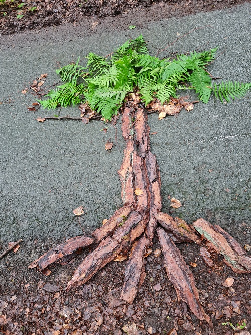 Projekttag9 grow happy Lisa Semmler