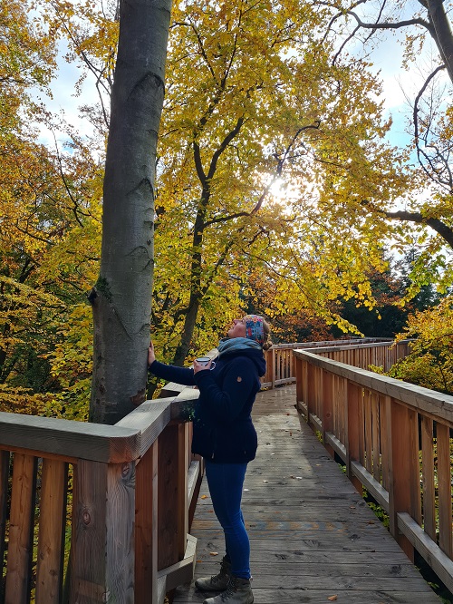 Waldbaden auf dem Baumwipfelweg2 grow happy Lisa Semmler