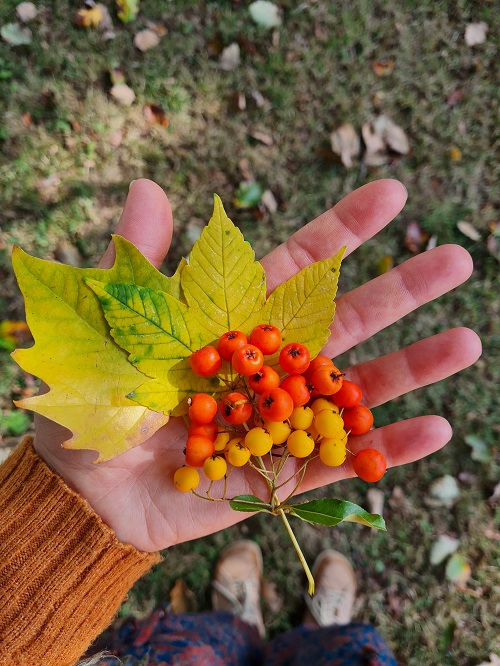 Waldbaden7 grow happy Lisa Semmler 2