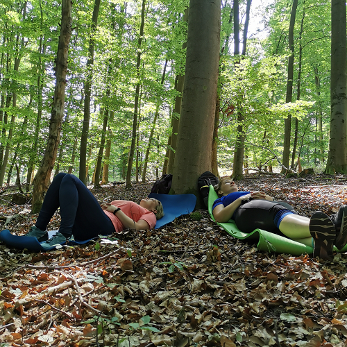 Waldbaden8 grow happy Lisa Semmler 1