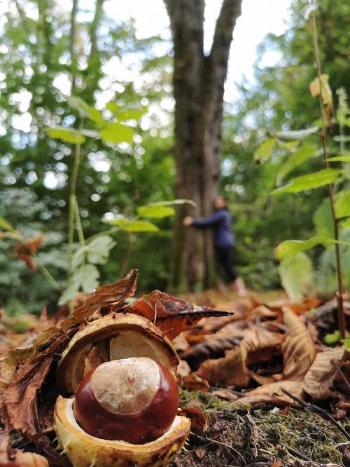 Waldbaden 6 grow happy Lisa Semmler