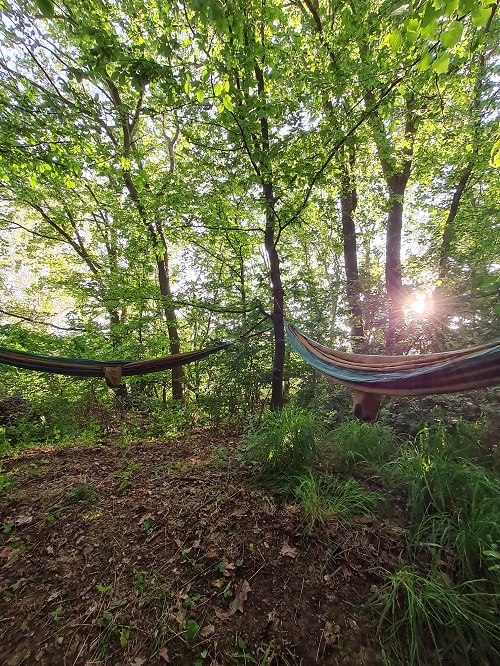 Waldbuero grow happy Lisa Semmler