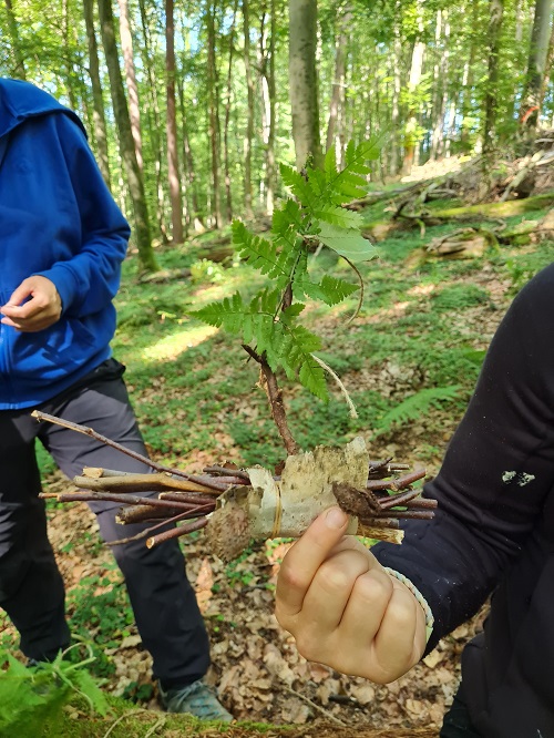 Weiterbildung Waldbaden fuer Kids4 grow happy Lisa Semmler