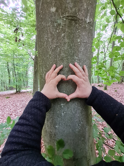 20240614 160206 komprimiert