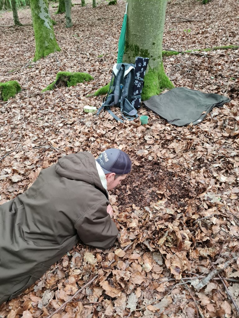 20240614 160643 komprimiert 768x1024