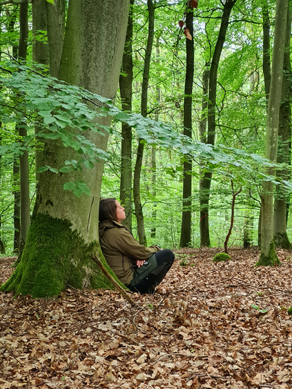 20240614 161401 komprimiert