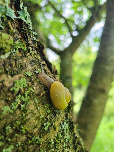 20240621 145922 komorimiert