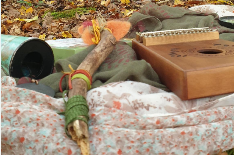 Bild Waldbaden fuer Kids2 768x508