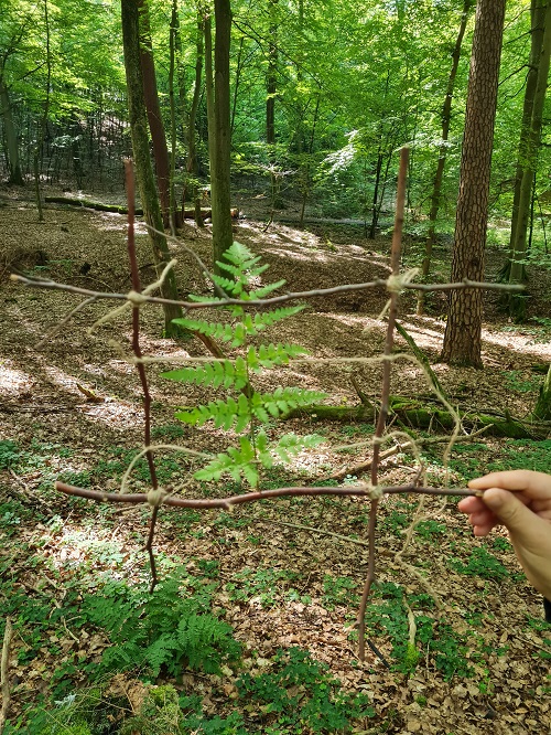 Weiterbildung Waldbaden fuer Kids2 grow happy Lisa Semmler