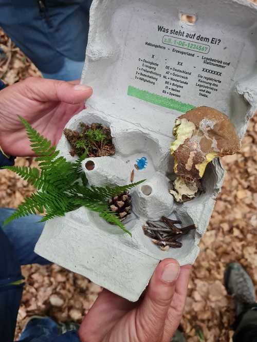 Weiterbildung Waldbaden fuer Kids grow happy Lisa Semmler