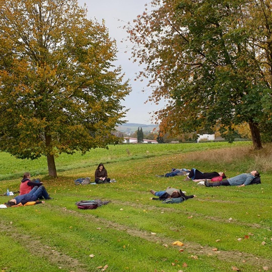 grow happy baumstarke kids waldpaedagogik3