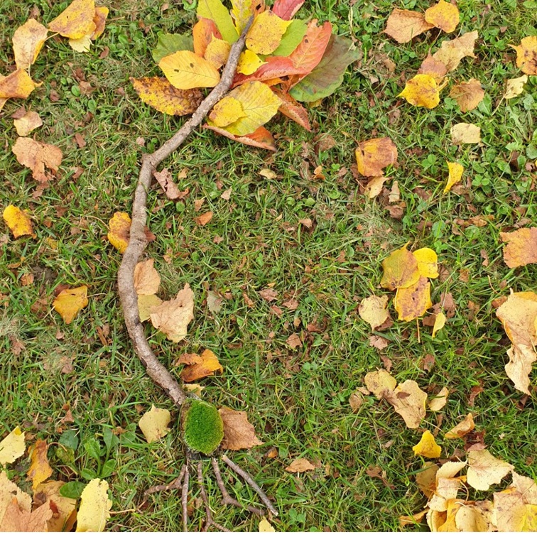 grow happy baumstarke kids waldpaedagogik4