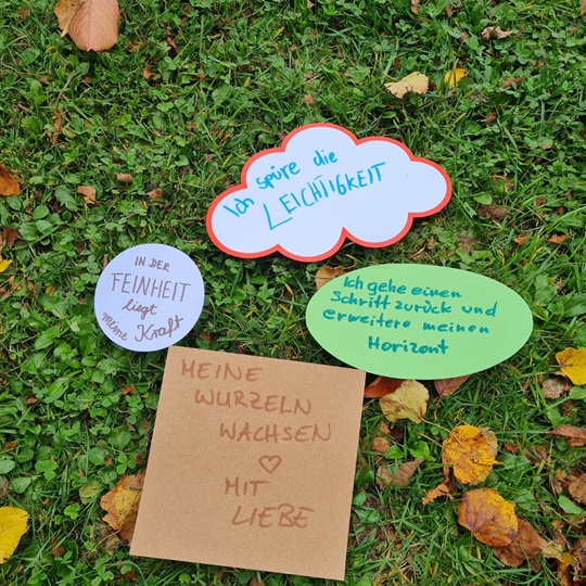 grow happy baumstarke kids waldpaedagogik9